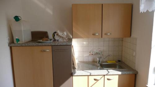 - une cuisine avec un évier et un comptoir dans l'établissement Villa Vita Hegykő, à Hegykő
