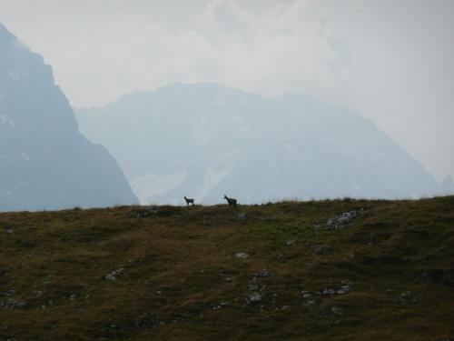 Un paisaje natural cerca de la casa de huéspedes