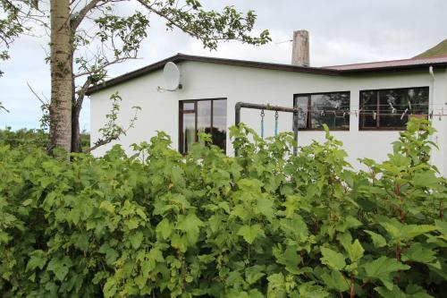 a house behind a hedge of bushes at Fosstún Guesthouse in Skogar