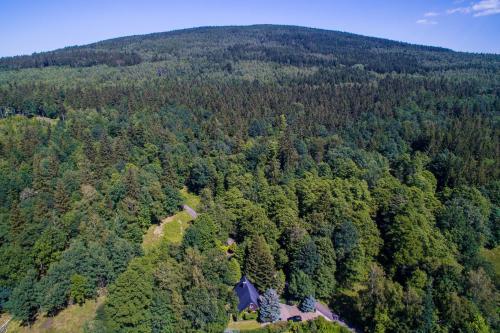 an aerial view of a house in the middle of a forest at Hanna House in Świeradów-Zdrój