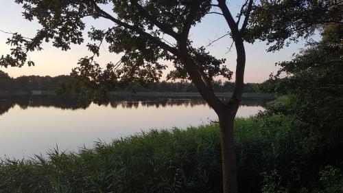 Un paisaje natural cerca de la habitación en casa particular