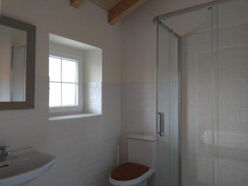a bathroom with a shower and a toilet and a sink at La Bicicleta Casa Rural in Rada