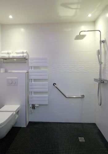 a bathroom with a shower and a toilet at Les Maisons du Pont - Charme & Caractère in Aubusson