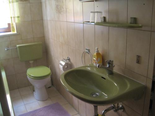 a bathroom with a green sink and a toilet at Ferienwohnung Stilla Traurig in Arrach