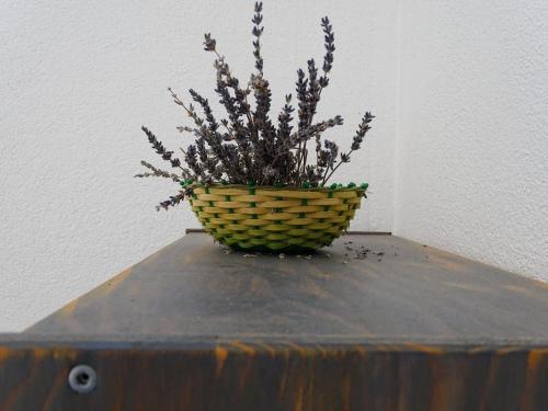 a plant in a basket sitting on top of a table at Apartment Naita in Sinj