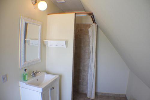 a bathroom with a shower and a sink and a mirror at Klitgaarden Henne Strand in Henne Strand