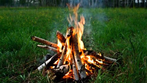 a fire burns in the grass in a field at Pears Tree Duplex Villa in Kodaikānāl