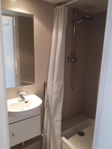 une salle de bain avec un rideau de douche et un lavabo dans l'établissement Enjoyable 20m² MONTREUIL 5 minutes Paris, à Montreuil