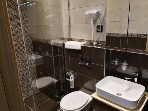 een badkamer met een douche, een toilet en een wastafel bij Konak Kutko in Pančevo