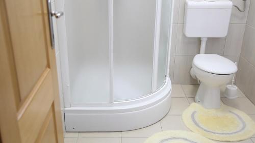 ein Badezimmer mit einer Dusche, einem WC und einem Teppich in der Unterkunft Hotel Bagarić -ispod brda ukazanja adress Kraljice Mira 56 Bijakovci Međugorje in Međugorje