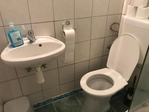 a bathroom with a toilet and a sink at Hotel Chata in Volary