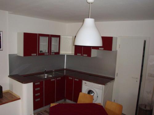 Kuchyň nebo kuchyňský kout v ubytování Apartmán Augsten