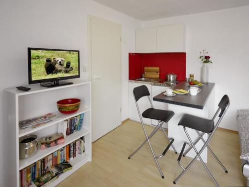 1-Zimmer-Apartment Heßdorf في هيسدورف: مطبخ مع طاولة وكرسيين وتلفزيون