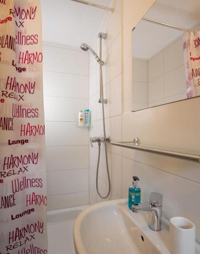 a bathroom with a sink and a shower and a mirror at 1-Zimmer-Apartment Heßdorf in Heßdorf