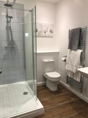 a bathroom with a shower and a toilet and a sink at Spring Hill Cottages in Towcester
