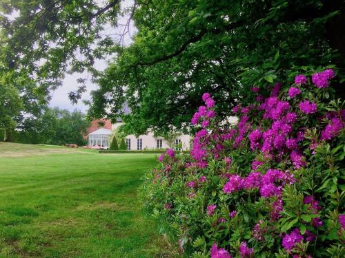 a garden with pink flowers in front of a house at Swafield Hall in Swafield