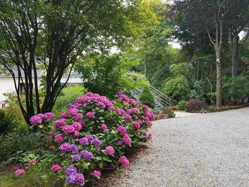 a bunch of pink flowers in a garden at La Canopée des Pins in Cléder