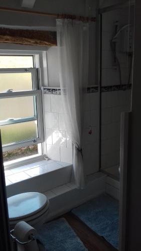 La salle de bains est pourvue de toilettes et d'une fenêtre. dans l'établissement Hills Farm B&B Laugharne, à Laugharne