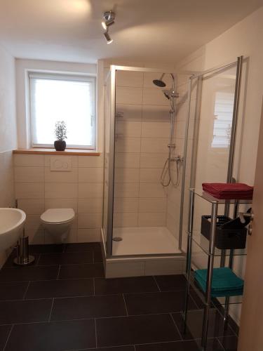een badkamer met een douche, een toilet en een wastafel bij Ferienwohnung Adams in Faid