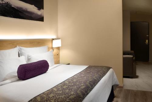 a bedroom with a large bed with a purple pillow on it at Krystal Monterrey in Monterrey