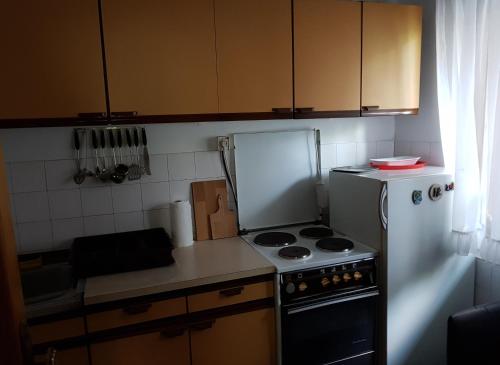 uma pequena cozinha com um fogão e um frigorífico em Apartman Vesna em Ovcar Banja