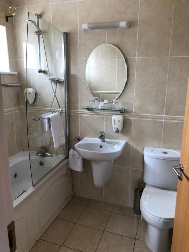y baño con lavabo, aseo y espejo. en Laragh House B&B en Kilkenny