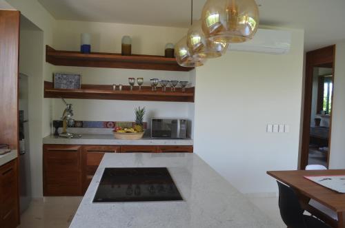 Kuchyň nebo kuchyňský kout v ubytování Tulsayab luxury development