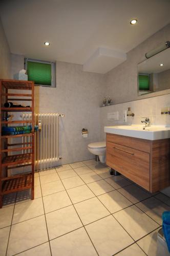 a bathroom with a sink and a toilet and a mirror at Ferienwohnung im Kirchberg in Lieser