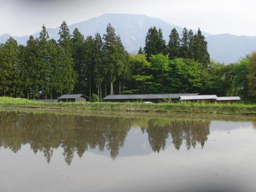 a building next to a body of water with trees at Tajimaya in Nakatsugawa