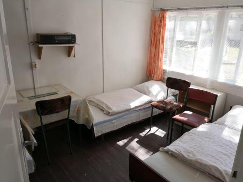 Cette chambre comprend 2 lits et une fenêtre. dans l'établissement Domki letniskowe Delfin, à Mrzeżyno