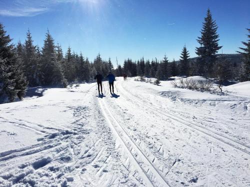 two people cross country skiing on a snow covered road at Apartmány Stožec - Gabreta Premium in Stožec