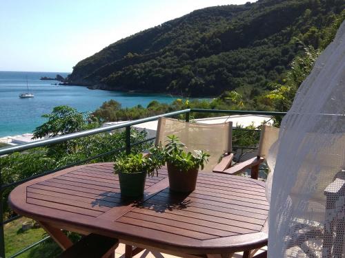 a wooden table with two potted plants on a balcony at Elina Apartments in Parga