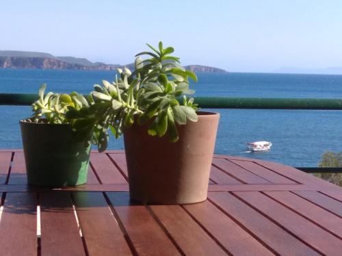 two potted plants sitting on a table near the water at Elina Apartments in Parga