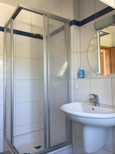 een badkamer met een douche en een wastafel bij Ferienwohnung Tietgens in Hohenfelde