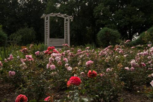 Gambar di galeri bagi Dwór Ujazdowski di Nielisz