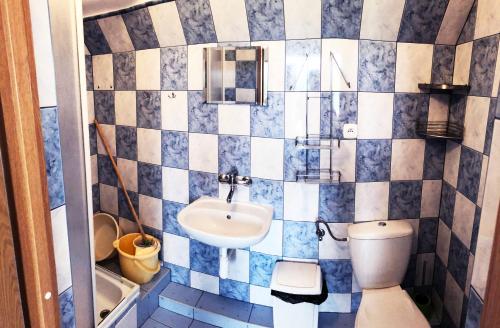 La salle de bains est pourvue d'un lavabo et de toilettes. dans l'établissement Dzika Róża, à Karwia