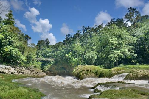 a river flowing through a forest filled with trees at Ecolodge Las Nubes Chiapas in La Fortuna Gallo Giro
