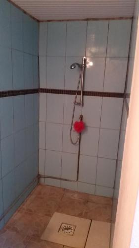 uma casa de banho com um chuveiro com um objecto vermelho em Chambre d'hôte à Saint-Pierre em Saint-Pierre