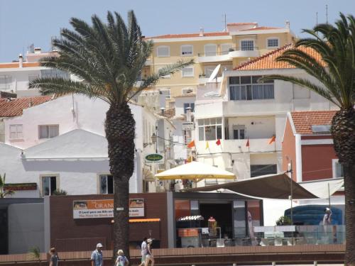 a group of palm trees in front of buildings at Casa AUGUSTA in Lagos