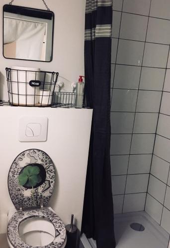 La salle de bains est pourvue de toilettes, d'un miroir et d'une douche. dans l'établissement ★★ Studio Coeur Toulouse, Saint Georges, Capitole ★★, à Toulouse