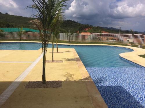a palm tree sitting next to a swimming pool at Calima Darien in Calima