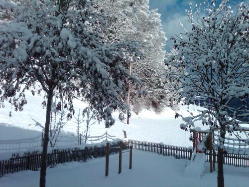a fence covered in snow next to two trees at Ferienhaus Waldsicht in Flachau