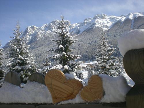 a view of a snowy mountain with snow covered trees at Hotel Des Alpes in Soraga