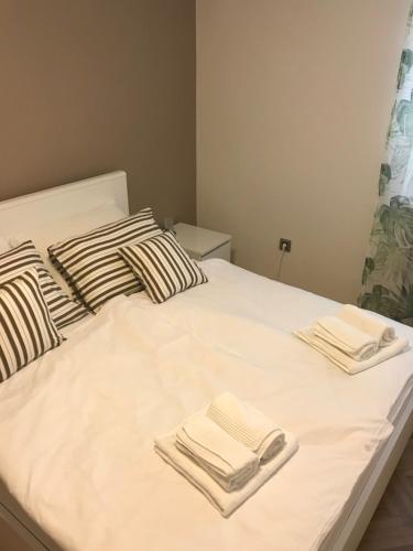 Nina's home Land&Sea