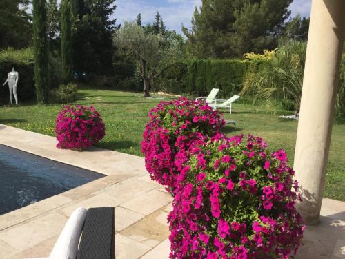 A garden outside Les 7 Roses d'Aix