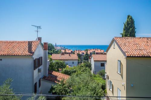 Superior Apartment Sincic