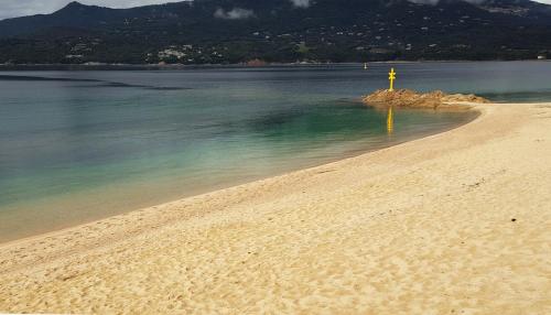 une plage avec une croix jaune dans l'eau dans l'établissement côté plage, à Propriano