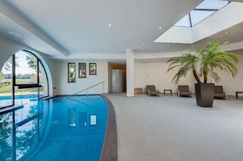 a pool in a hotel with chairs and trees at Borgo La Chiaracia Resort & SPA in Castel Giorgio