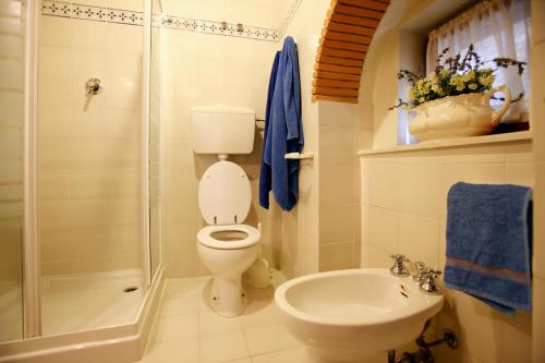 La salle de bains est pourvue de toilettes, d'une douche et d'un lavabo. dans l'établissement casa vacanze passignano, à Passignano sul Trasimeno