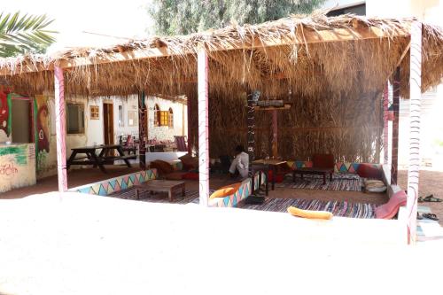 Imagen de la galería de Oasis Fighting Kangaroo, en Dahab